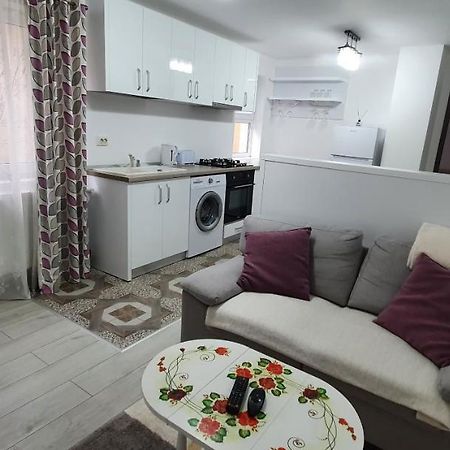 Nehoiu Apartamentアパートメント エクステリア 写真